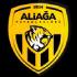 Aliaga