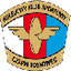 Czarni Sosnowiec
