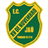 XV de Jaú S20 Logo