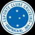 Cruzeiro AL S20 Logo