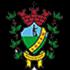 Vocem S20