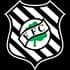 Figueirense S20