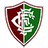 Fluminense PI S20