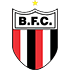 Botafogo SP S20 Logo