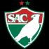 Salgueiro Logo