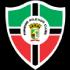 Pinheiro MA Logo