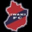Iwaki FC