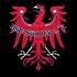 Brandenburger SC Sued