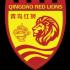 Qingdao Red Lions
