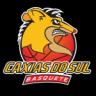 Caxias do Sul Logo