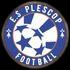 ES Plescop
