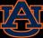 Auburn