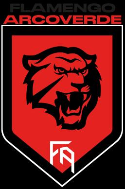 Flamengo Arcoverde