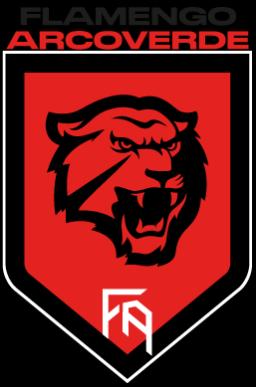 Flamengo Arcoverde