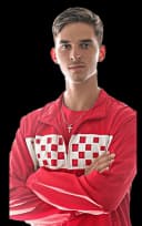 Dino Prizmic
