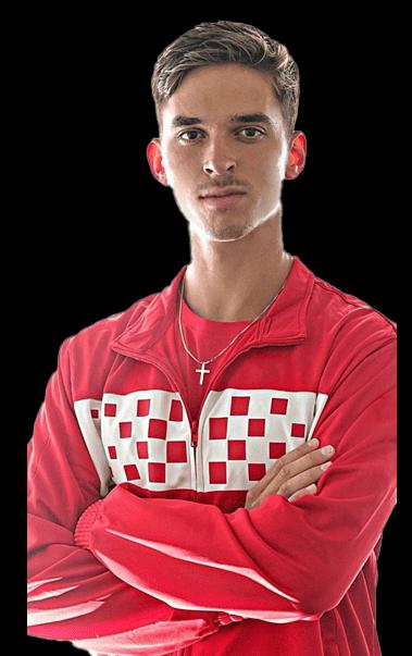 Dino Prizmic