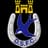 Dungannon Swifts