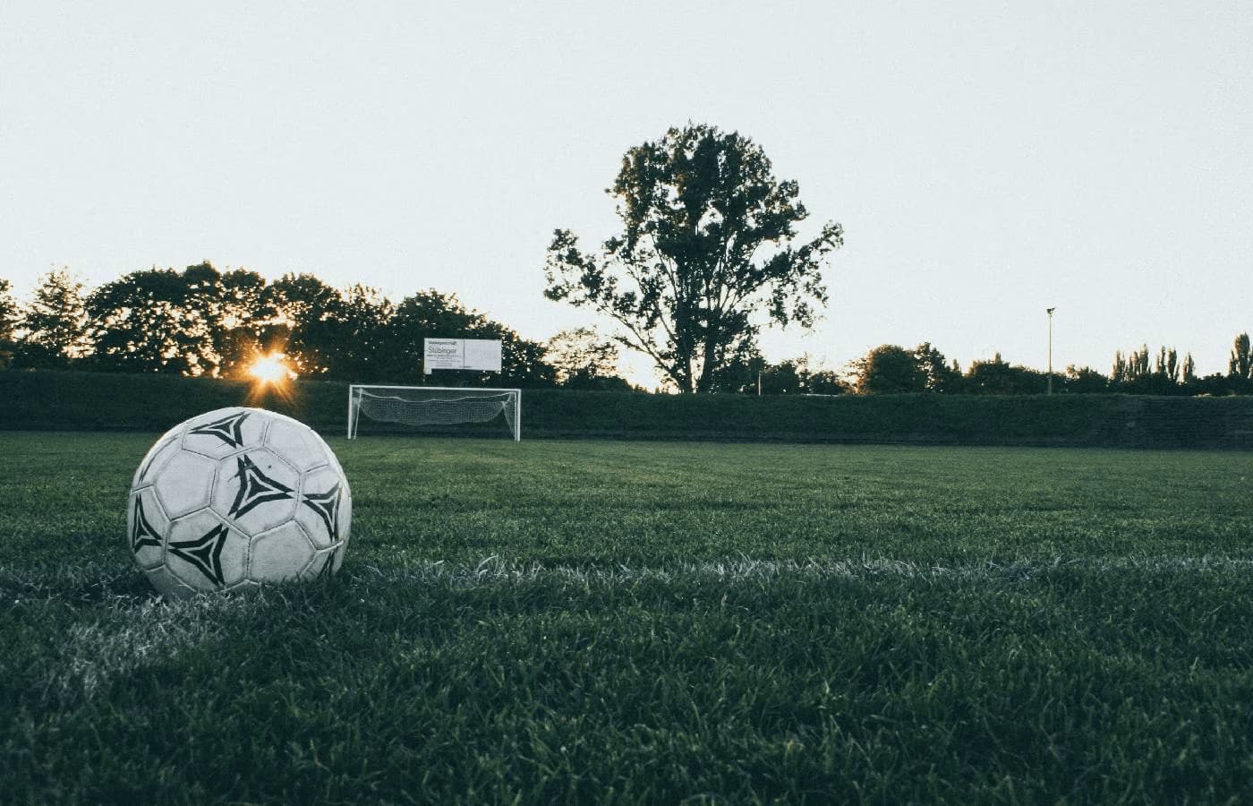 Melhores palpites de futebol da semana 11 a 17/11/24