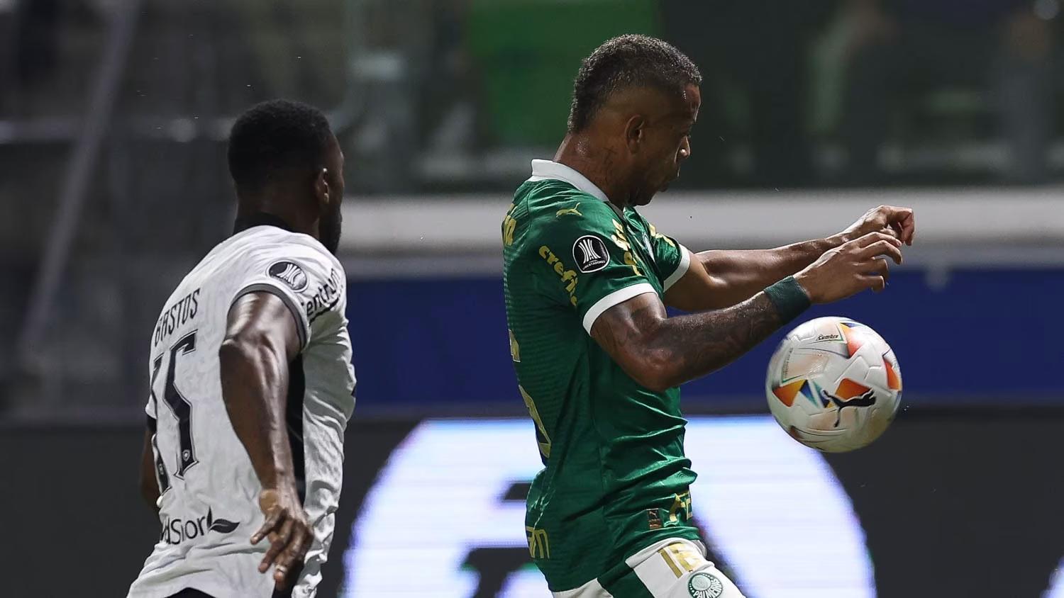 Palmeiras x Botafogo: Casas de apostas apontam favoritismo do Verdão; veja odds