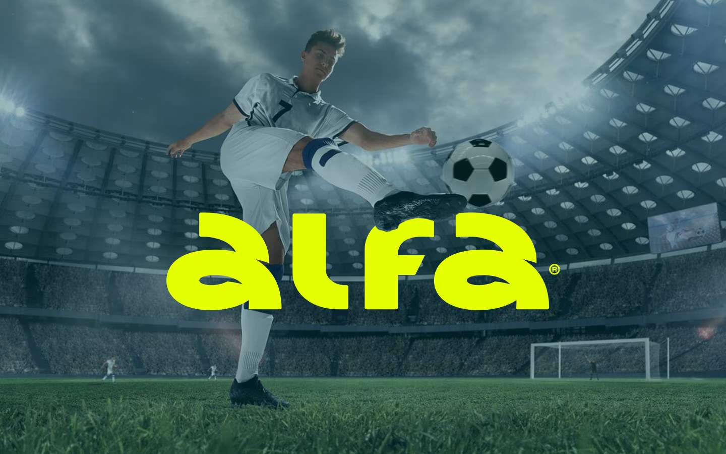 Como abrir conta na Alfa Bet