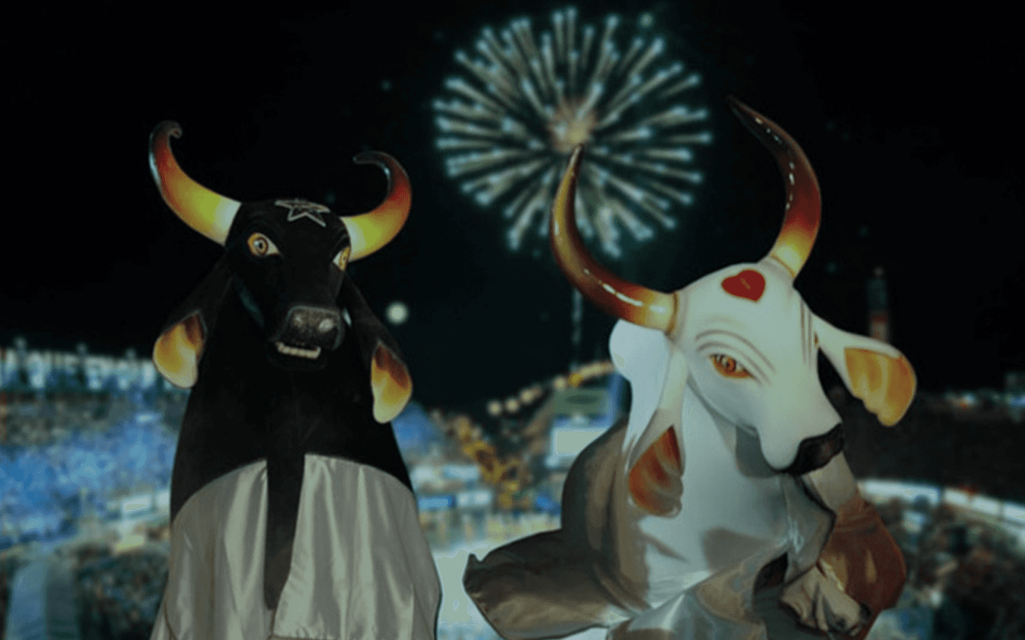 Odds para Festa do Boi. Como apostar no Festival de Parintins