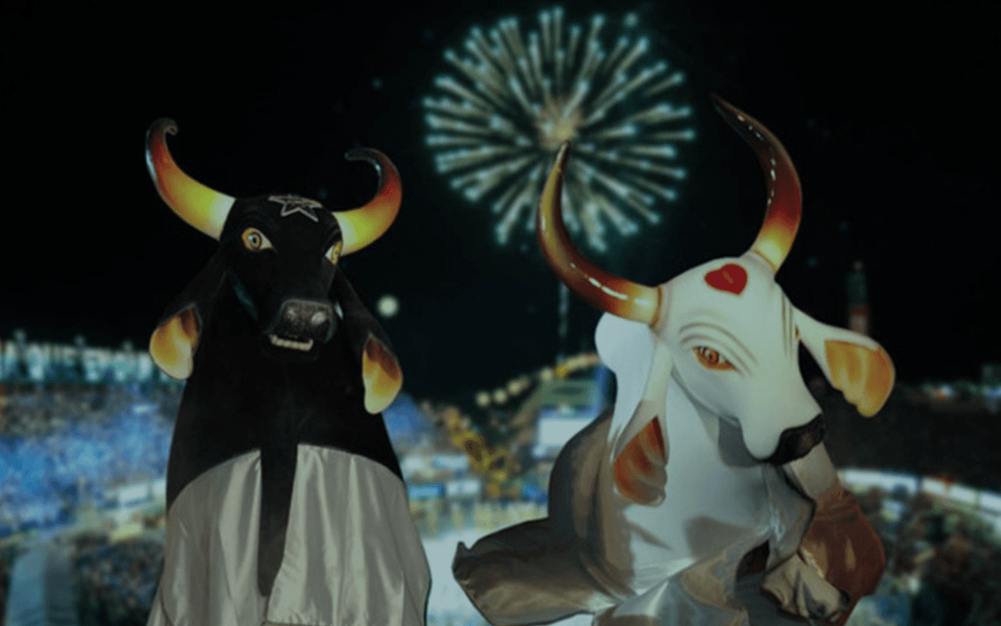 Odds para Festa do Boi. Como apostar no Festival de Parintins