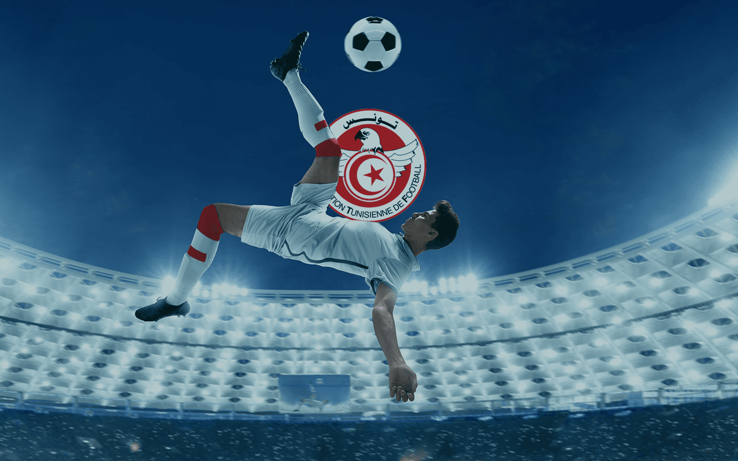 Odds da Tunísia na Copa de 2022: Como apostar na seleção tunisiana