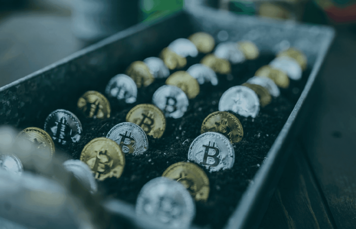 "Jogos de azar centralizados”, critica Banco Central Europeu, sobre criptomoedas