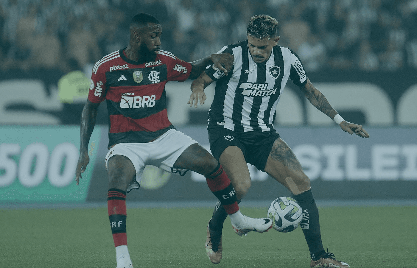 Botafoguense perde R$100 mil em aposta contra o Flamengo no Brasileirão