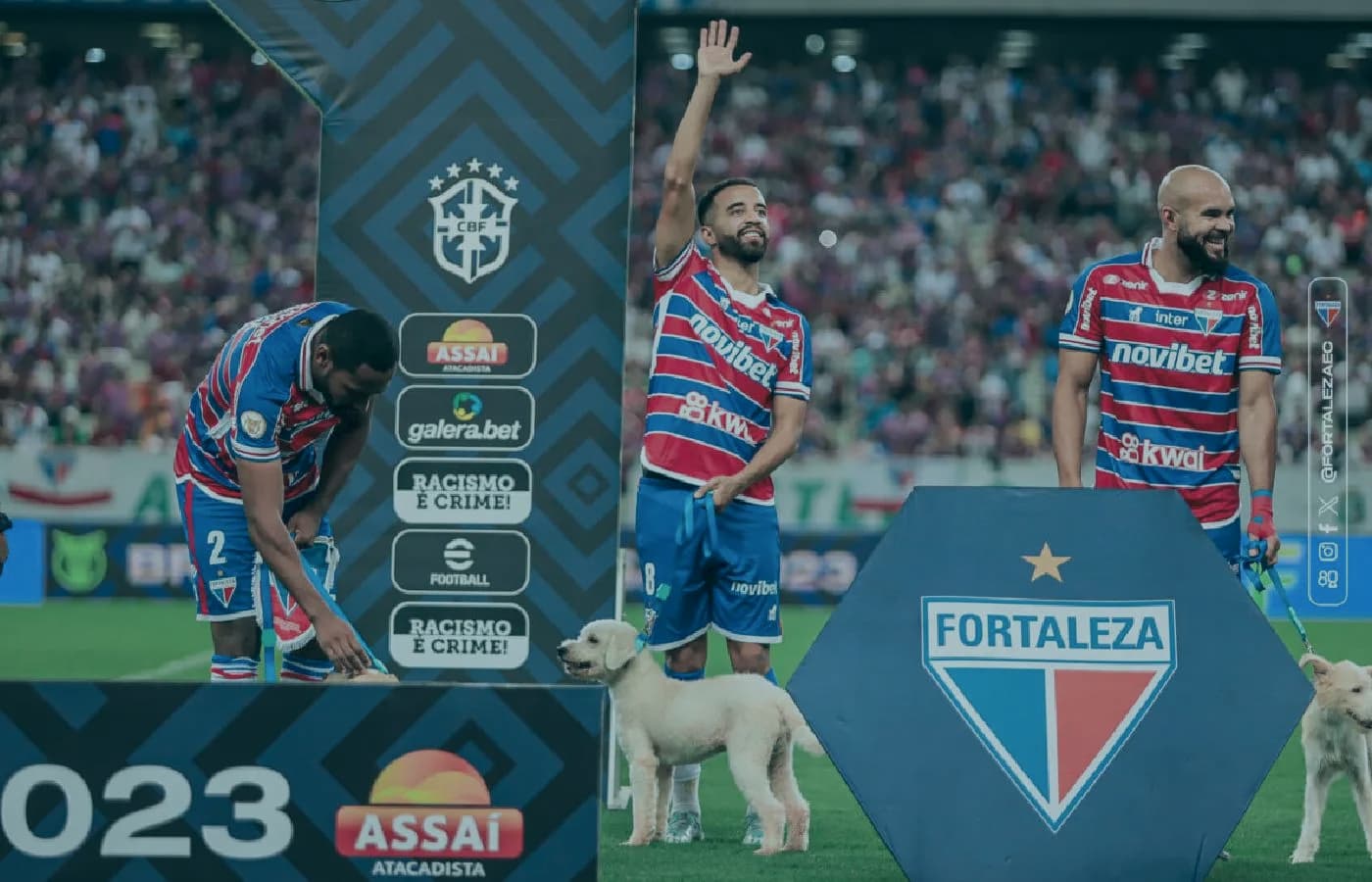 "Novipet": Novibet realiza ação em jogo do Fortaleza para incentivar a adoção de animais