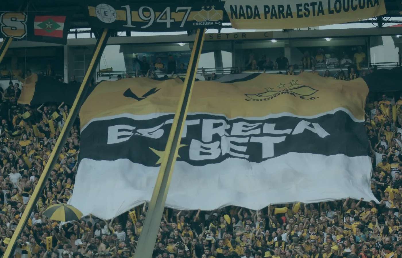 EstrelaBet comanda festa fora de campo no jogo que deu ao Criciúma o acesso à Série A