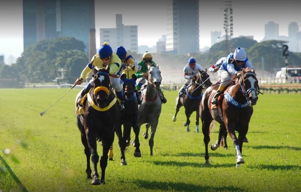 Vereadores aprovam PL que proíbe corridas de cavalo com apostas em São Paulo