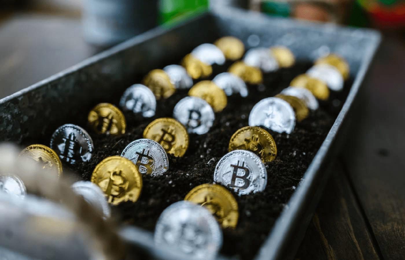 Criptomoedas não serão aceitas em apostas no Brasil; veja regras para pagamentos