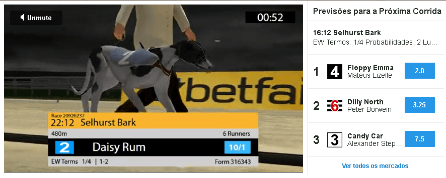 transmissao corrida de galgos ao vivo betfair