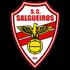 Salgueiros